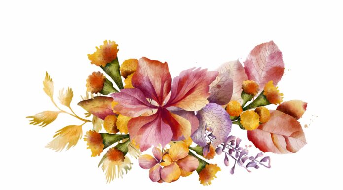 «СОГРЕВАНИЕ ЗВЕЗДЫ СОКРОВИЩ» 15 СЕНТЯБРЯ