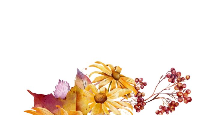 «СОГРЕВАНИЕ ЗВЕЗДЫ СОКРОВИЩ» 15 ОКТЯБРЯ