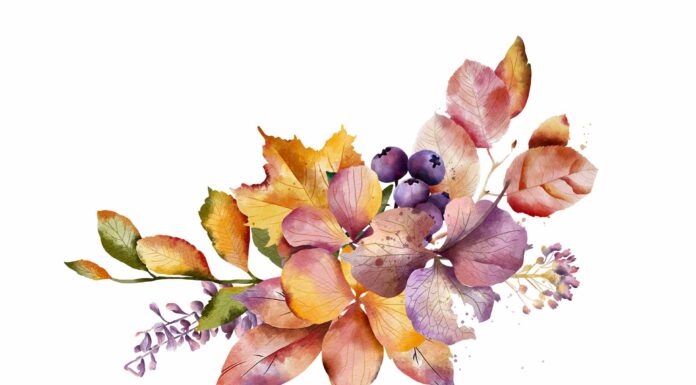 АКТИВАЦИЯ «ТРИ ГЕНЕРАЛА» 13 ОКТЯБРЯ