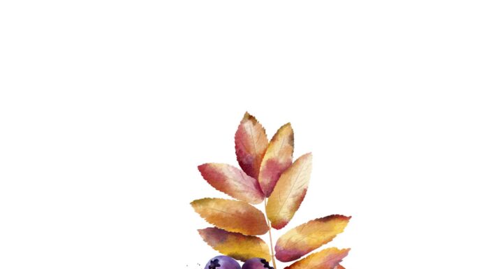 «СОГРЕВАНИЕ ЗВЕЗДЫ СОКРОВИЩ» 9 ОКТЯБРЯ