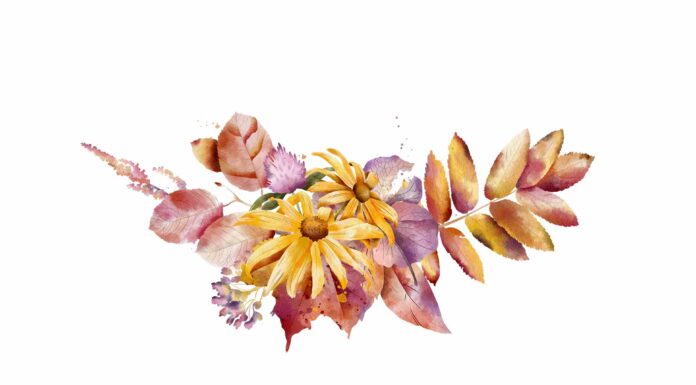 «ПТИЦА ПАДАЕТ В ГНЕЗДО» 6 ОКТЯБРЯ