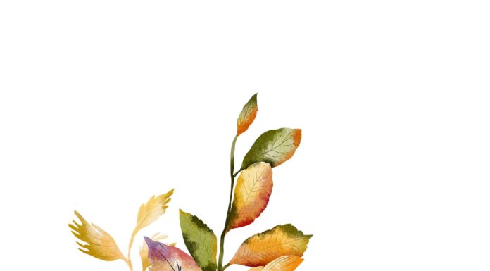 ПРОГУЛКА «НЕФРИТОВАЯ ДЕВА УДЕРЖИВАЮЩАЯ ВРАТА» 30 СЕНТЯБРЯ