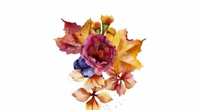 «СОГРЕВАНИЕ ЗВЕЗДЫ СОКРОВИЩ» 27 СЕНТЯБРЯ