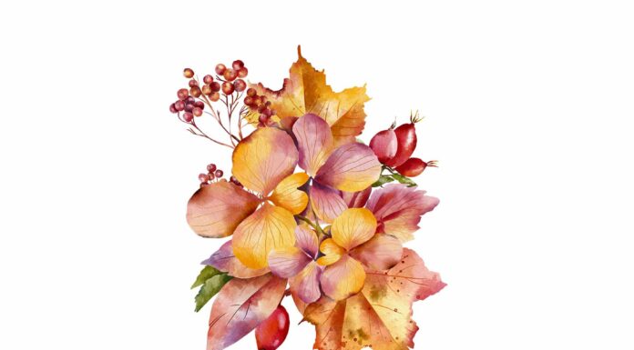 ПРОГУЛКА ДЛЯ ФИНАНСОВОЙ УДАЧИ, КАРЬЕРЫ, ОТНОШЕНИЙ, ЗДОРОВЬЯ 22 СЕНТЯБРЯ