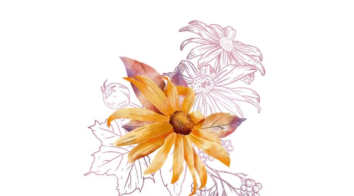 ПРОГУЛКА ДЛЯ ФИНАНСОВОЙ УДАЧИ, КАРЬЕРЫ, ОТНОШЕНИЙ, ЗДОРОВЬЯ 24 СЕНТЯБРЯ