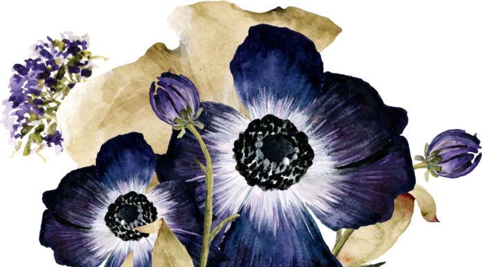 «СОГРЕВАНИЕ ЗВЕЗДЫ СОКРОВИЩ» 25 ОКТЯБРЯ