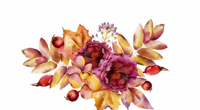 «ПТИЦА ПАДАЕТ В ГНЕЗДО» 13 СЕНТЯБРЯ