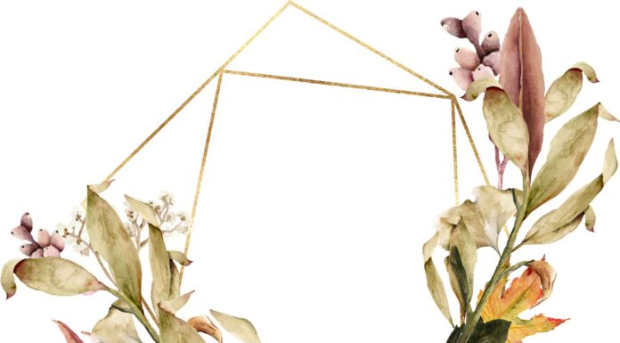 «ПТИЦА ПАДАЕТ В ГНЕЗДО» 30 ОКТЯБРЯ