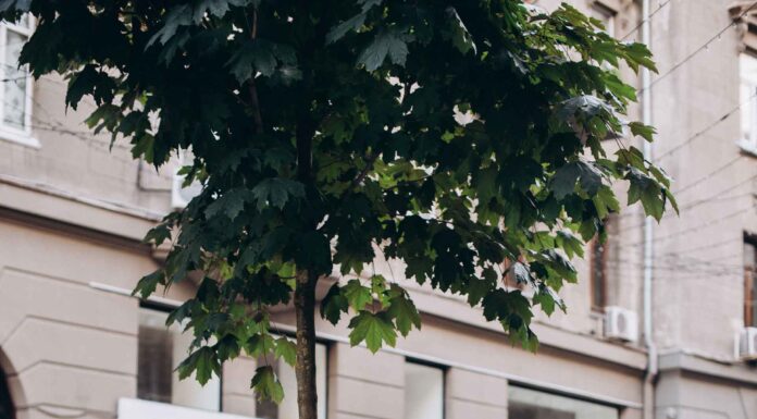 18. ПОИГРАЕМ?