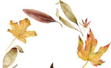 «СОГРЕВАНИЕ ЗВЕЗДЫ СОКРОВИЩ» 23 ОКТЯБРЯ