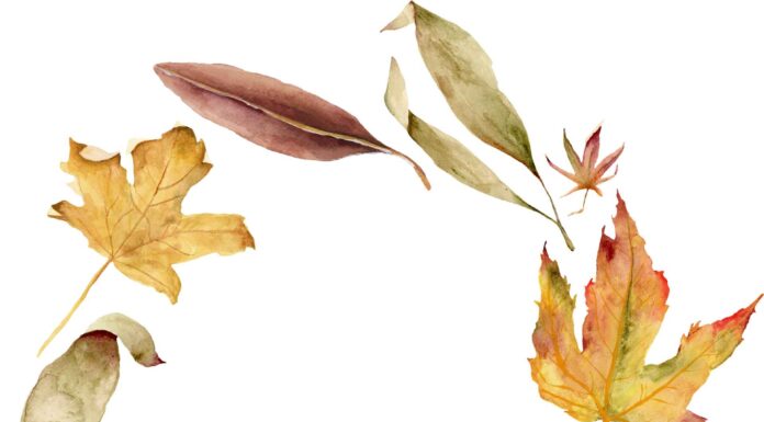 «СОГРЕВАНИЕ ЗВЕЗДЫ СОКРОВИЩ» 23 ОКТЯБРЯ