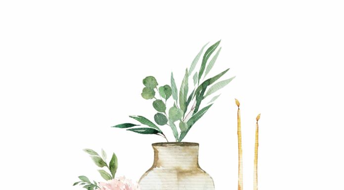 ПРОГУЛКА ДЛЯ ФИНАНСОВОЙ УДАЧИ, КАРЬЕРЫ, ОТНОШЕНИЙ, ЗДОРОВЬЯ 21 НОЯБРЯ