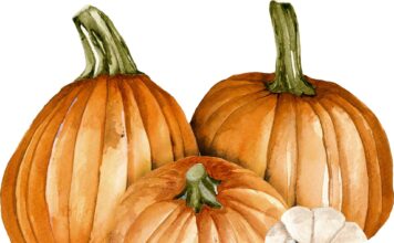 «СОГРЕВАНИЕ ЗВЕЗДЫ СОКРОВИЩ» 4 НОЯБРЯ