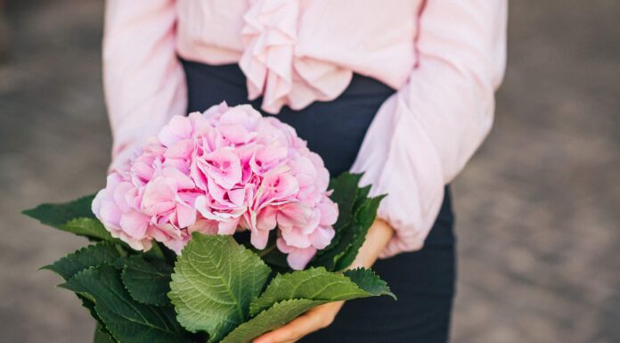 РОЗЫГРЫШ КОНСУЛЬТАЦИИ!