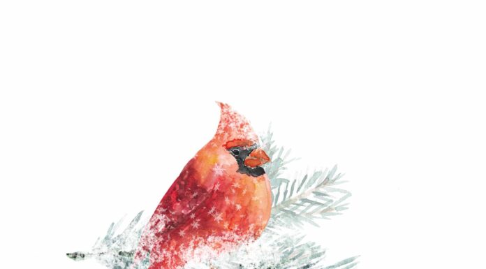 «ПТИЦА ПАДАЕТ В ГНЕЗДО» 30 ДЕКАБРЯ