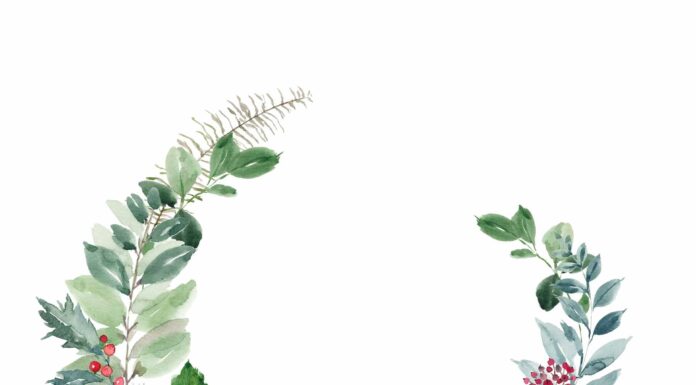 ПРОГУЛКА ДЛЯ ФИНАНСОВОЙ УДАЧИ, КАРЬЕРЫ 17 ДЕКАБРЯ