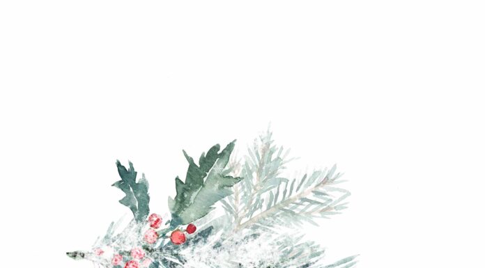 «СОГРЕВАНИЕ ЗВЕЗДЫ СОКРОВИЩ» 22 ДЕКАБРЯ