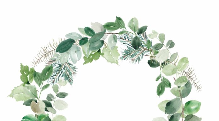 ПРОГУЛКА ДЛЯ ФИНАНСОВОЙ УДАЧИ, КАРЬЕРЫ, ОТНОШЕНИЙ 9 ДЕКАБРЯ