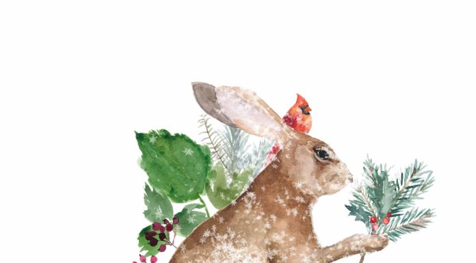 ПРОГУЛКА ДЛЯ ФИНАНСОВОЙ УДАЧИ, КАРЬЕРЫ 26 ДЕКАБРЯ