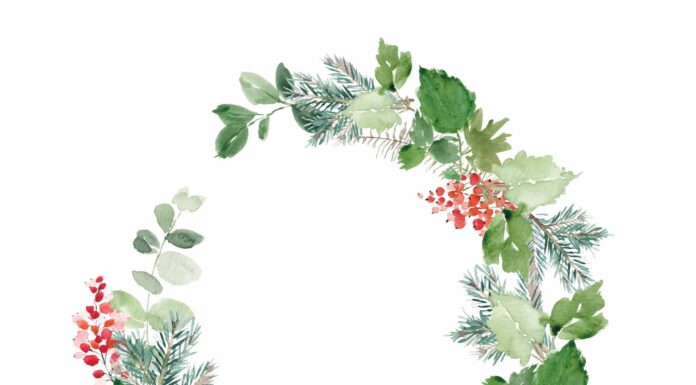 «СОГРЕВАНИЕ ЗВЕЗДЫ СОКРОВИЩ» 14 ДЕКАБРЯ