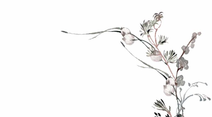 ПРОГУЛКА ДЛЯ ФИНАНСОВОЙ УДАЧИ, КАРЬЕРЫ 30 ЯНВАРЯ