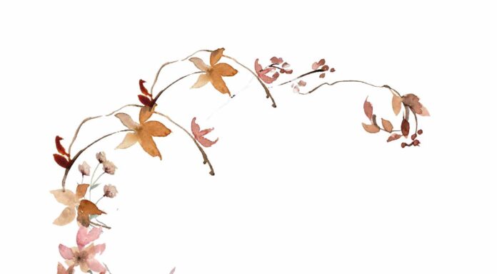 АКТИВАЦИЯ «ТРИ ГЕНЕРАЛА» 12 ЯНВАРЯ