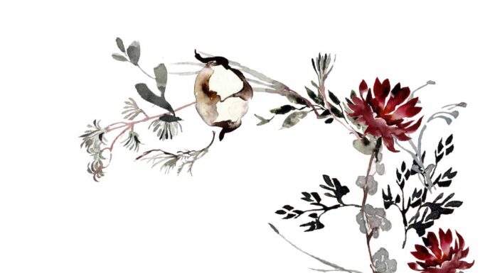 АКТИВАЦИЯ «ТРИ ГЕНЕРАЛА» 25 ЯНВАРЯ