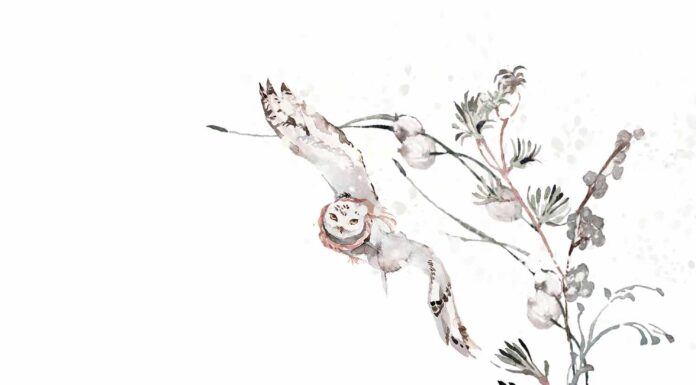 АКТИВАЦИЯ «ТРИ ГЕНЕРАЛА» 19 ЯНВАРЯ