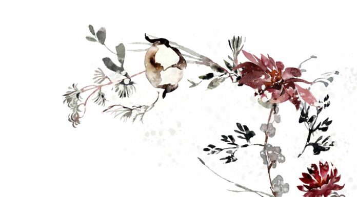 АКТИВАЦИЯ «ТРИ ГЕНЕРАЛА» 5 ЯНВАРЯ