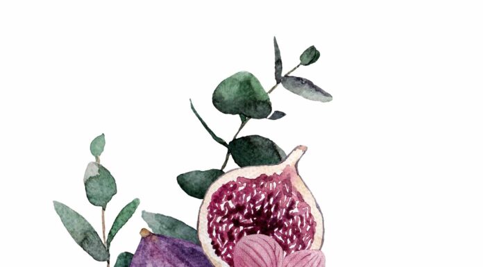 АКТИВАЦИЯ «ТРИ ГЕНЕРАЛА» 11 ФЕВРАЛЯ