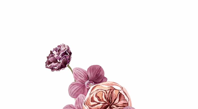 ПРОГУЛКА ДЛЯ ФИНАНСОВОЙ УДАЧИ, КАРЬЕРЫ, ОТНОШЕНИЙ 24 ФЕВРАЛЯ