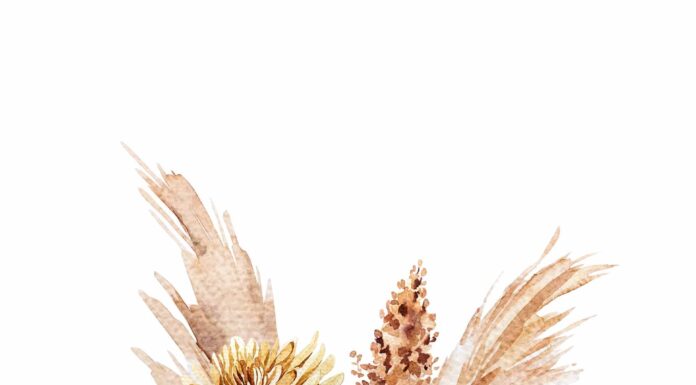 ПРОГУЛКА ДЛЯ ФИНАНСОВОЙ УДАЧИ, КАРЬЕРЫ, ОТНОШЕНИЙ 8 ФЕВРАЛЯ