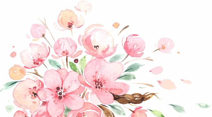 «ПТИЦА ПАДАЕТ В ГНЕЗДО» 1 МАРТА