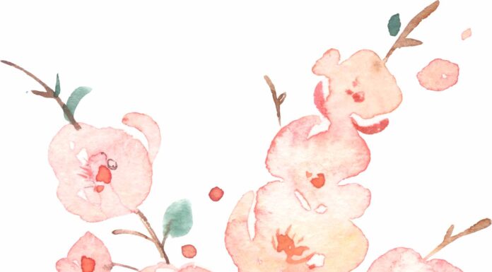 ПРОГУЛКА ДЛЯ ФИНАНСОВОЙ УДАЧИ, КАРЬЕРЫ, ОТНОШЕНИЙ 15 МАРТА