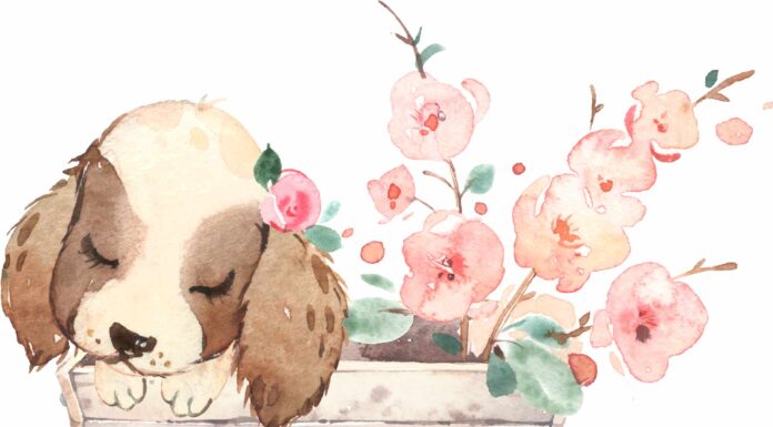 «ПТИЦА ПАДАЕТ В ГНЕЗДО» 12 МАРТА