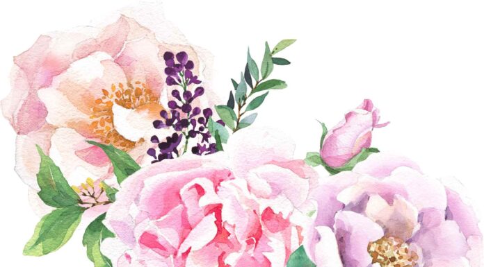 АКТИВАЦИЯ «ТРИ ГЕНЕРАЛА» 25 АПРЕЛЯ