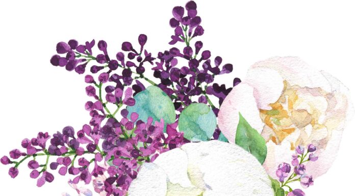 ПРОГУЛКА ДЛЯ ФИНАНСОВОЙ УДАЧИ, КАРЬЕРЫ, ОТНОШЕНИЙ, ЗДОРОВЬЯ 5 АПРЕЛЯ