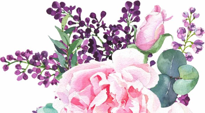 «ПТИЦА ПАДАЕТ В ГНЕЗДО» 17 АПРЕЛЯ