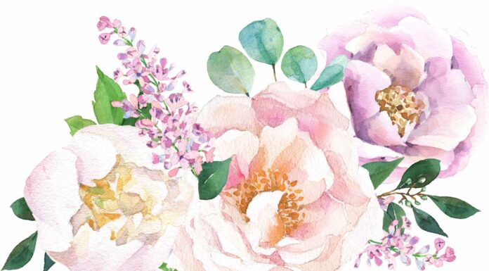 ПРОГУЛКА ДЛЯ ФИНАНСОВОЙ УДАЧИ, КАРЬЕРЫ, ЗДОРОВЬЯ 13 АПРЕЛЯ