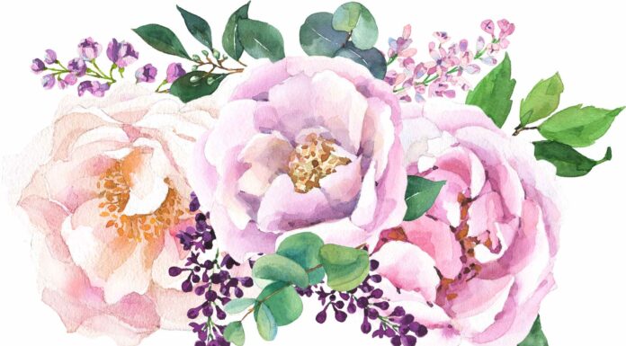 АКТИВАЦИЯ «ТРИ ГЕНЕРАЛА» 30 АПРЕЛЯ