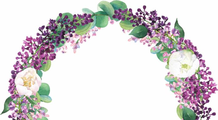 АКТИВАЦИЯ «ТРИ ГЕНЕРАЛА» 11 АПРЕЛЯ