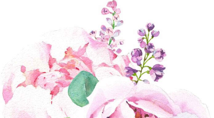 ПРОГУЛКА ДЛЯ ФИНАНСОВОЙ УДАЧИ, КАРЬЕРЫ, ОТНОШЕНИЙ, ЗДОРОВЬЯ 1 АПРЕЛЯ