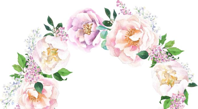 «ПТИЦА ПАДАЕТ В ГНЕЗДО» 4 АПРЕЛЯ