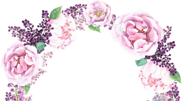 «ЗЕЛЕНЫЙ ДРАКОН ПОВОРАЧИВАЕТ ГОЛОВУ» 19 АПРЕЛЯ