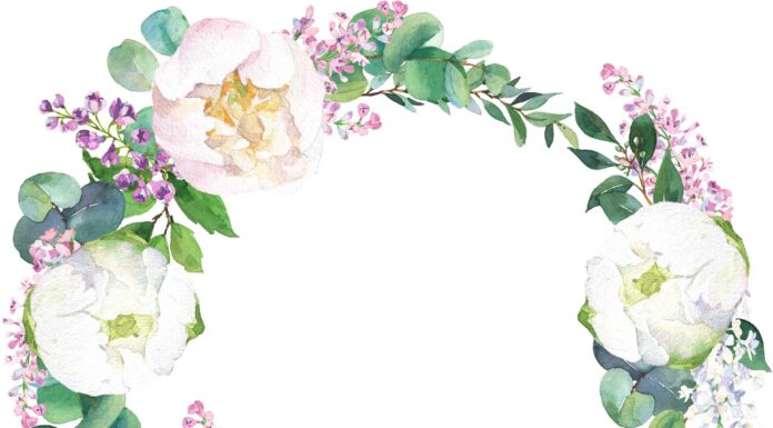 «ПТИЦА ПАДАЕТ В ГНЕЗДО» 16 АПРЕЛЯ