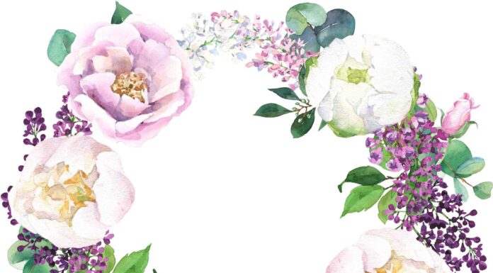 «ПТИЦА ПАДАЕТ В ГНЕЗДО» 26 АПРЕЛЯ