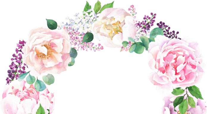 АКТИВАЦИЯ «ТРИ ГЕНЕРАЛА» 8 АПРЕЛЯ