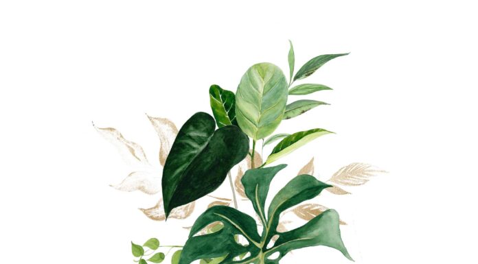 АКТИВАЦИЯ «ТРИ ГЕНЕРАЛА» 8 МАЯ