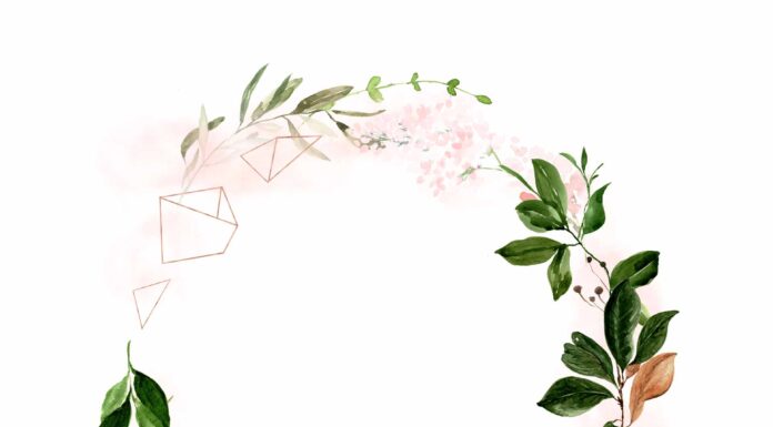 «ПТИЦА ПАДАЕТ В ГНЕЗДО» 3 ИЮНЯ