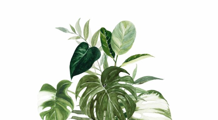 АКТИВАЦИЯ «ТРИ ГЕНЕРАЛА» 5 ИЮНЯ